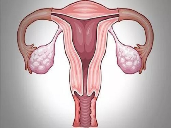 多囊促排怀双胎好不好看这里，虽能实现生育但风险也不小