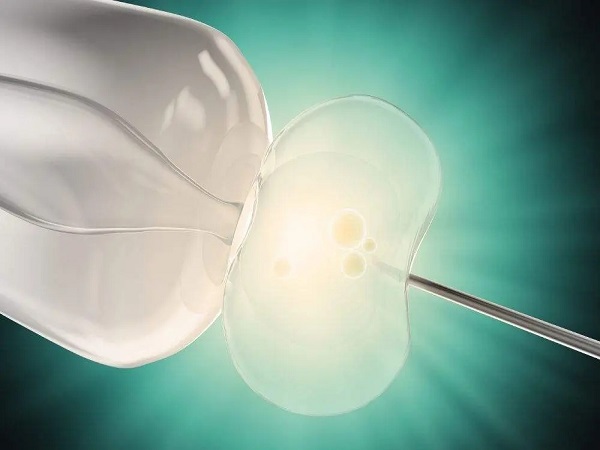 盘点增加短方案试管成功率的方法，掌握这四个要点很关键