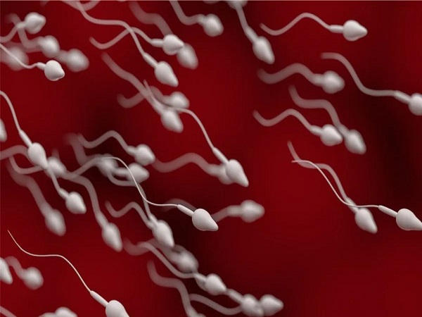 这三个方法能快速恢复精子质量，可不仅仅是禁欲那么简单