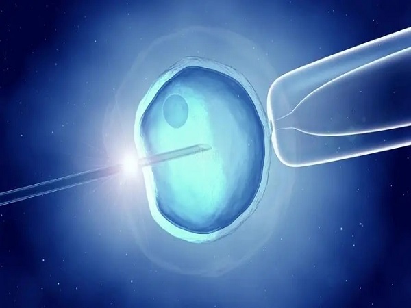 试管移植后血值低保胎的秘方分享，别就只知道卧床休息