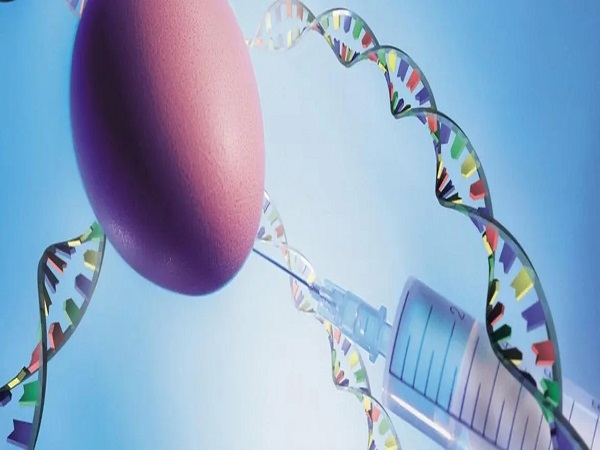 长方案和短方案的区别真不小，看完便知选择哪个成功率高