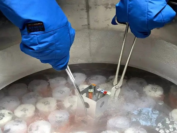 试管冻精子和鲜精的差距真不小，哪个成功率高对比就知道