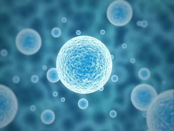 42岁做试管婴儿的真实经历分享，做好这些有成功的希望