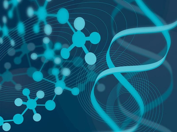 三代试管囊胚pgd筛查要几天不确定，和这些因素有关要知道