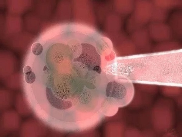 中药调理卵泡较佳时间有讲究，卵泡期见效快千万别错过