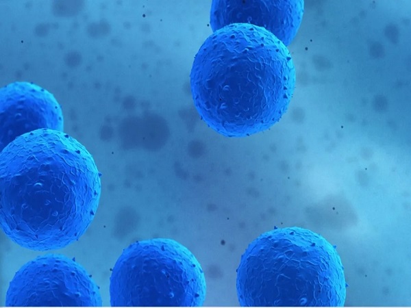 判断卵泡好不好的方法汇总，中医把脉不能摸出好坏要注意