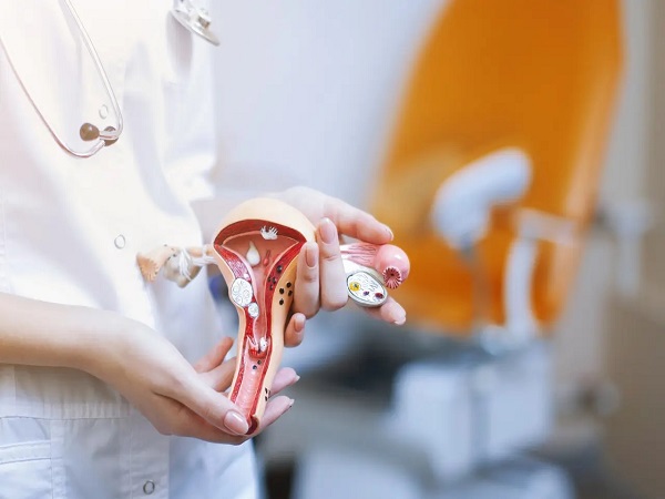 绝经后供卵试管移植失败别着急，及时检查找出病因很关键