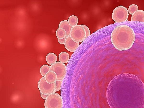 成熟卵泡雌二醇的正常值分享，5000对应几个看这就知