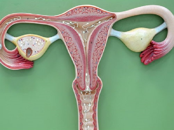 试管移植后做电针的3大作用分享，能帮助胚胎着床真不假