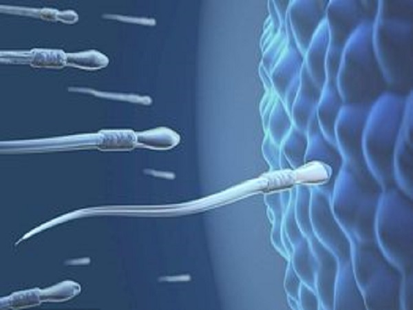 详细介绍2022成都人工授精费用，需要多少钱一目了然