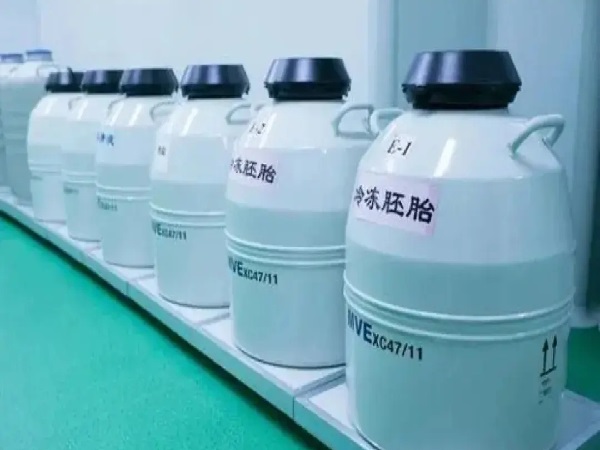 试管只是复苏移植的费用并不高，看这就知道大概多少钱