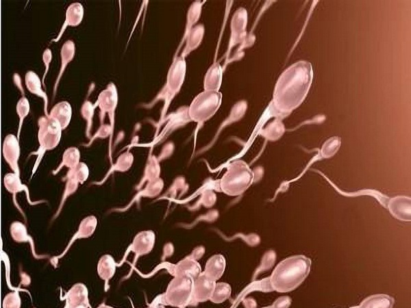 试管婴儿对男性精子有要求，看完就知正常形态1能不能做