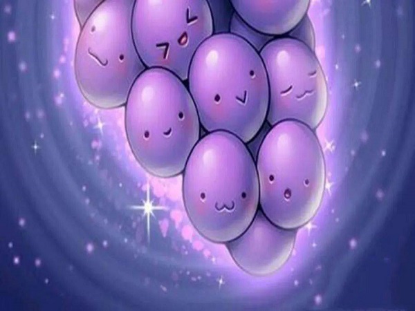 有过葡萄胎史的备孕方法分享，做好这些事项可提高成功率