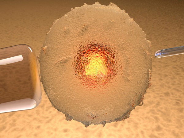 吃葡萄干更易着床！试管婴儿移植后能不能吃答案显而易见