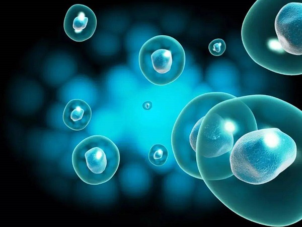 解读女性怀孕受精卵不着床的原因，孕酮低仅是其中之一