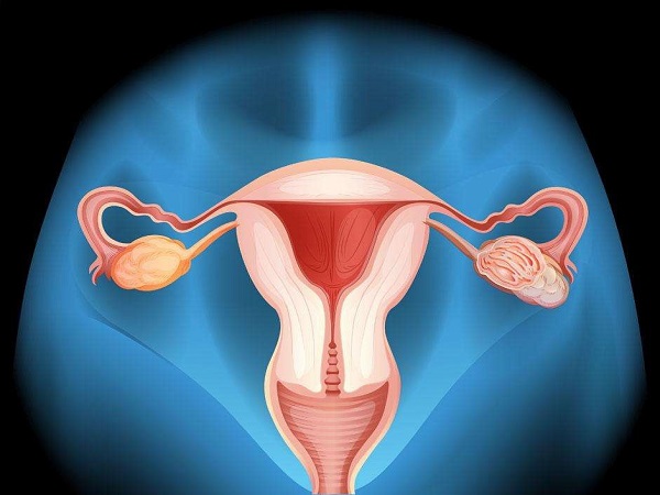 试管取了卵泡当月不能移植的原因汇总，别只知道内膜薄了