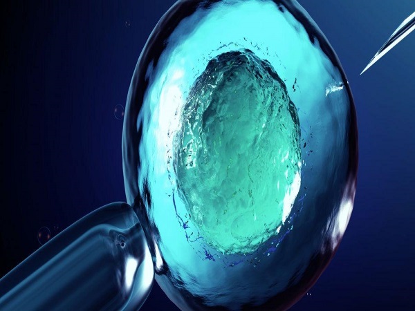 全面解读生育险范围：试管婴儿能不能报、比例多少一清二楚