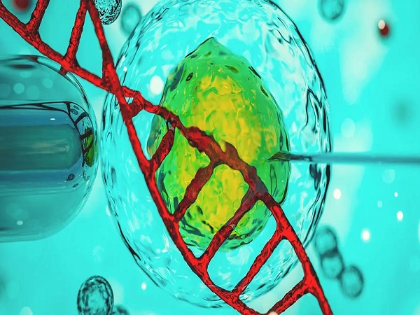 试管成功率和给不给医生送礼没关系，需不需要送不再纠结