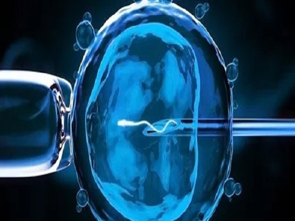 解读三代试管婴儿流程，从开始到结束要多长时间因人而异