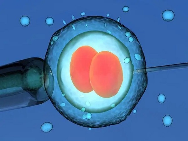 试管一次能放几个胚胎进去有规定，一般至多2个真别不信