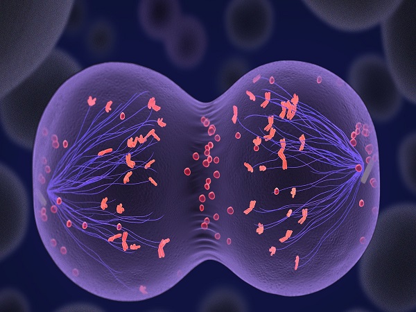 胚胎质量不好一般几周会胎停看这里，不见红就没事不可信