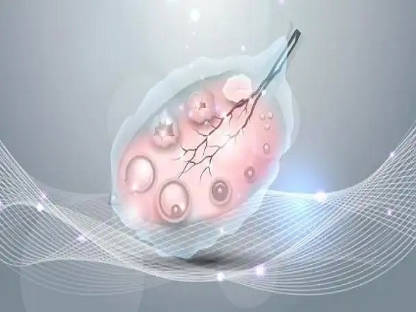 详细解读试管婴儿卵泡监测，检测方法、要多少次一次说清