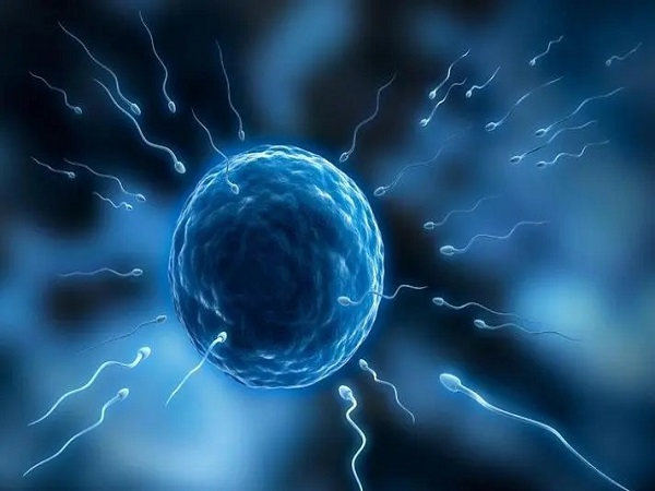 试管婴儿取精前要禁欲多久看这里，时间过长、过短都有影响