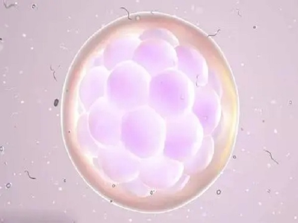 试管婴儿促排卵详细过程分享，不同方案步骤有差异要知道