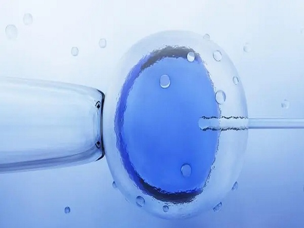 一文详解北京试管婴儿医保报销政策，比例和条件全囊括