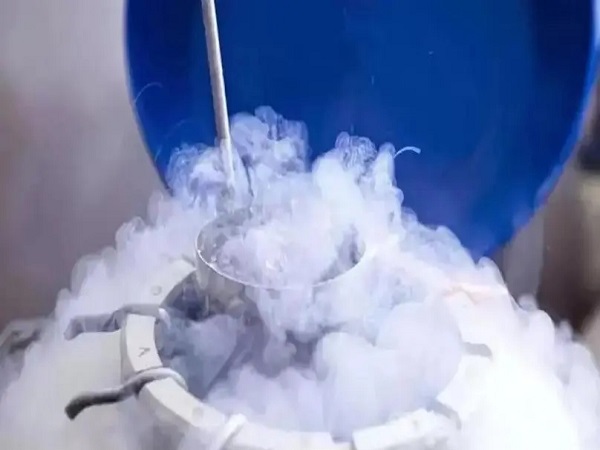 详解试管婴儿解冻胚胎的费用，是不是按管收费明明白白