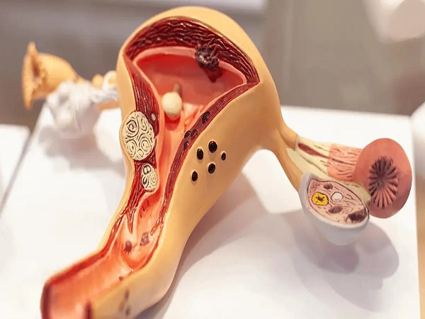 子宫内膜7mm试管成功案例分享，过来人告诉你成功率真不低