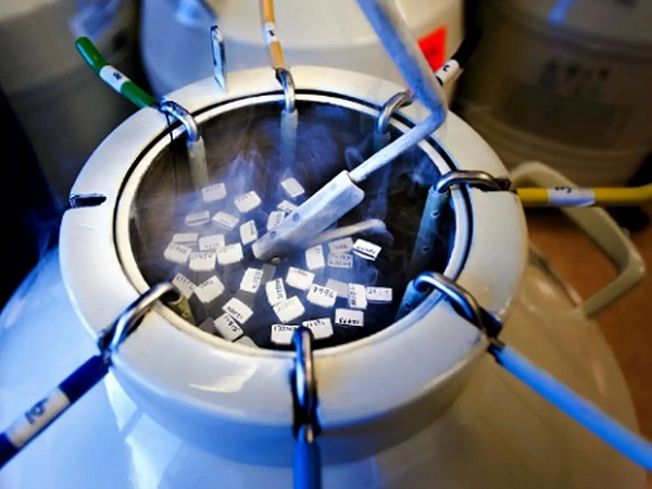 冻胚移植前要辅助孵化的2大原因分析，会加快着床真不假