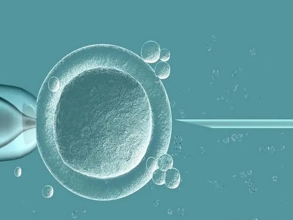 试管人工周期的详细流程：从准备内膜到移植只需4个步骤