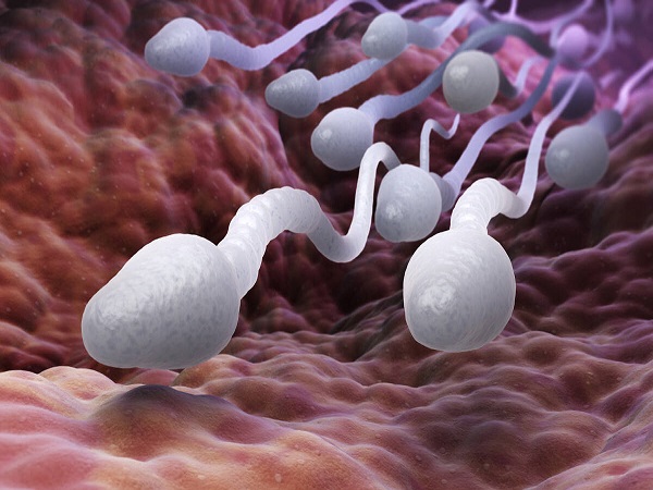 想知道自己有没有Y精子看这里，这三个方法就可准确判断