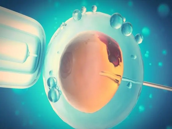 长沙试管做一对龙凤胎的费用明细，和单胎差多少看看便知