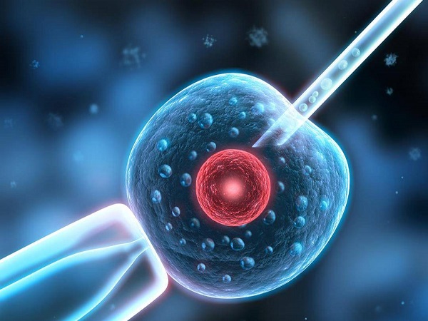 警惕试管婴儿的各类骗局，不成功包退款不靠谱千万别相信