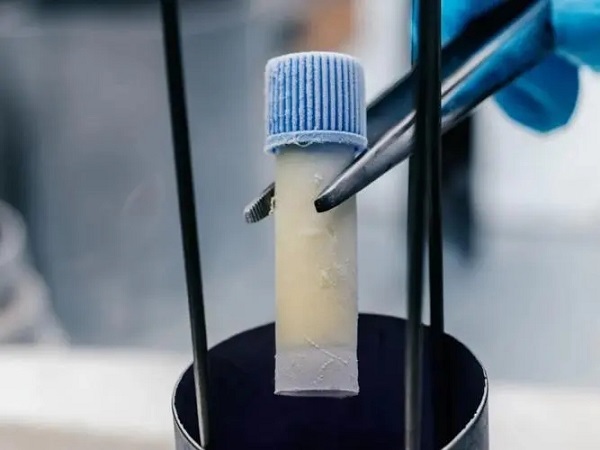 胚胎复苏后还要养一天有原因，可提高成功率真不是开玩笑