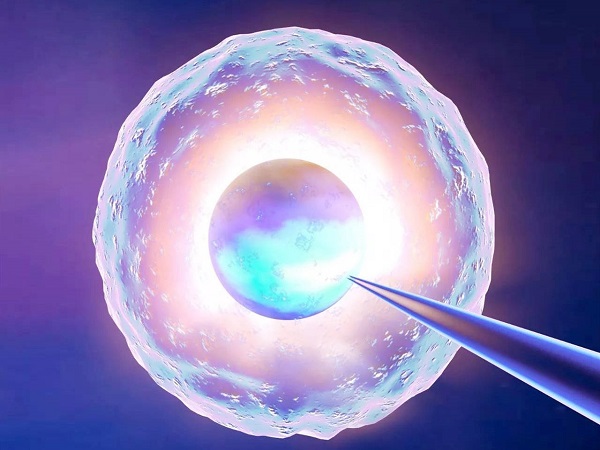 借卵生子要等多久时间不能确定，关键还得看卵源是否紧缺