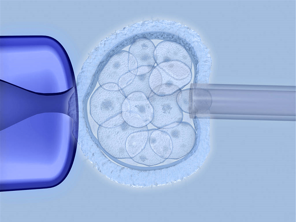 解读试管婴儿的详细流程，看完便知哪个过程女性受罪