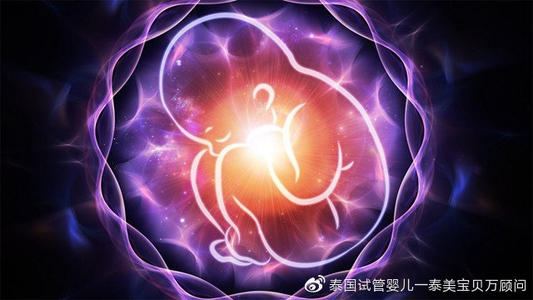 弱精做俄罗斯试管婴儿成功率高吗