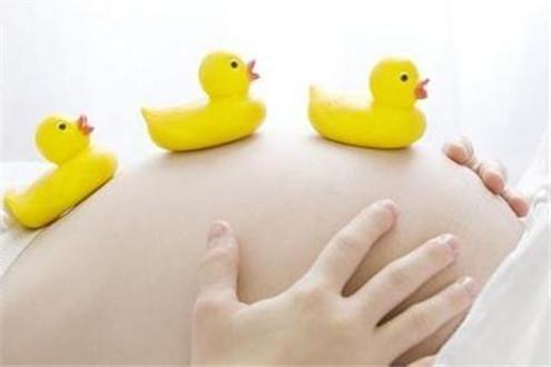 如果调理得当是否会让试管的成功率最高?