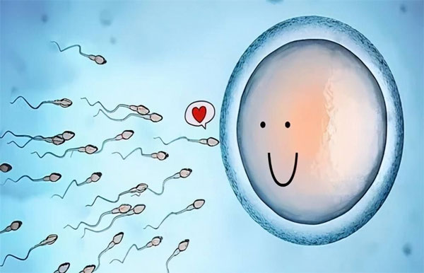 了解三代试管婴儿的区别-最匹配的才是最合适的