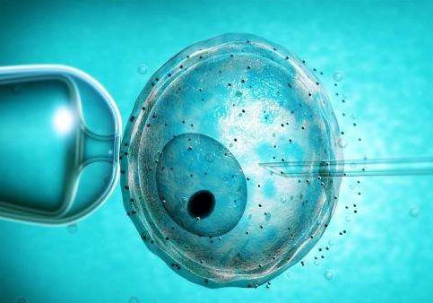 试管婴儿过程中，胚胎移植为什么会着床失败？