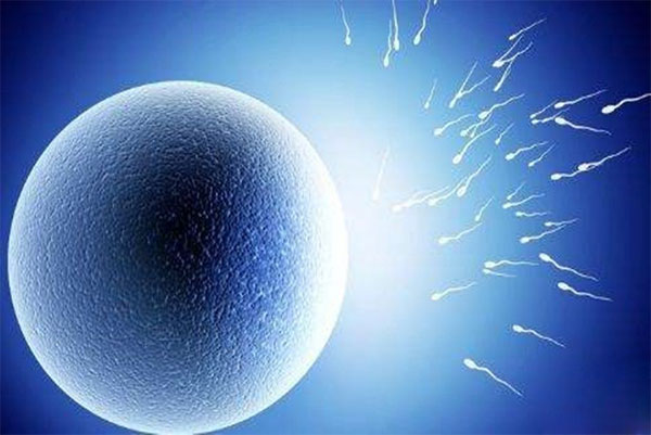 决定试管婴儿的成功因素有哪些-这八个因素是宝藏