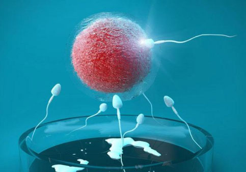 试管婴儿技术，是不孕不育的万能药？试试不定如此