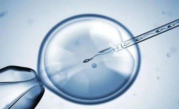 没结婚单身能做试管婴儿吗？答案可能要让你失望了