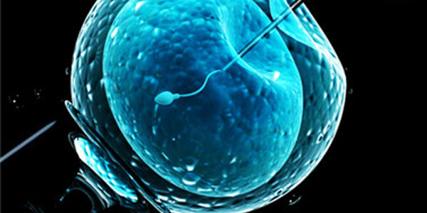 美国试管婴儿为什么推荐选择性单胚胎移植