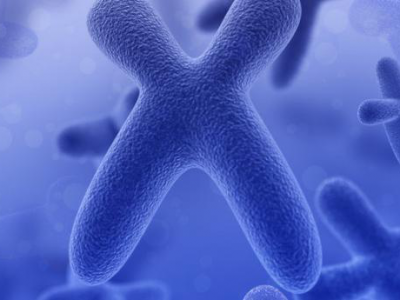 【试管婴儿】试管婴儿“染色体检查”具体检查什么呢？