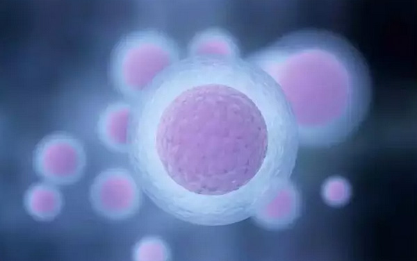 泰国试管婴儿流程攻略—前期准备