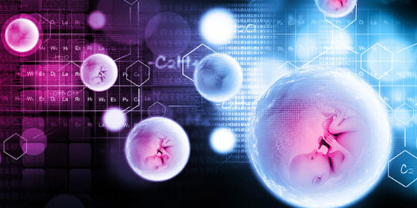 美国试管婴儿不是一种单独的治疗方法，而是系统的进展。